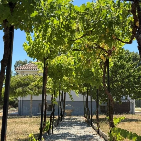  AGENCE TIC RUFFEC : Maison / Villa | RUFFEC (16700) | 97 m2 | 141 560 € 