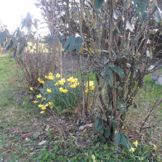  AGENCE TIC RUFFEC : Maison / Villa | CIVRAY (86400) | 113 m2 | 185 000 € 