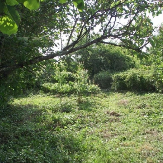  AGENCE TIC RUFFEC : Maison / Villa | AUNAC (16460) | 0 m2 | 14 000 &euro; 