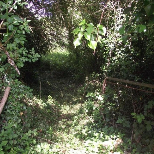  AGENCE TIC RUFFEC : Maison / Villa | AUNAC (16460) | 0 m2 | 14 000 &euro; 