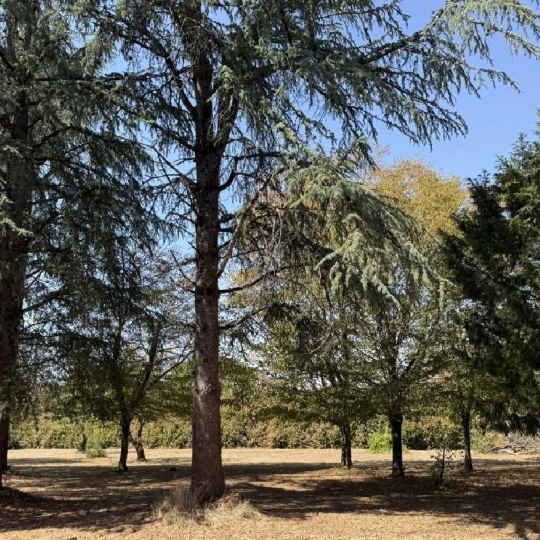 AGENCE TIC RUFFEC : Maison / Villa | VERTEUIL-SUR-CHARENTE (16510) | 170 m2 | 210 000 &euro; 