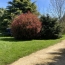  AGENCE TIC RUFFEC : Maison / Villa | CIVRAY (86400) | 202 m2 | 299 900 € 
