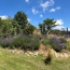  AGENCE TIC RUFFEC : Maison / Villa | NANTEUIL-EN-VALLEE (16700) | 147 m2 | 202 000 € 