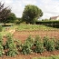  AGENCE TIC RUFFEC : Maison / Villa | VERTEUIL-SUR-CHARENTE (16510) | 220 m2 | 297 800 € 