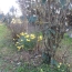  AGENCE TIC RUFFEC : Maison / Villa | CIVRAY (86400) | 113 m2 | 185 000 € 
