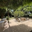  AGENCE TIC RUFFEC : Maison / Villa | COUHE (86700) | 230 m2 | 331 575 € 