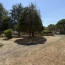  AGENCE TIC RUFFEC : Maison / Villa | VERTEUIL-SUR-CHARENTE (16510) | 170 m2 | 210 000 &euro; 