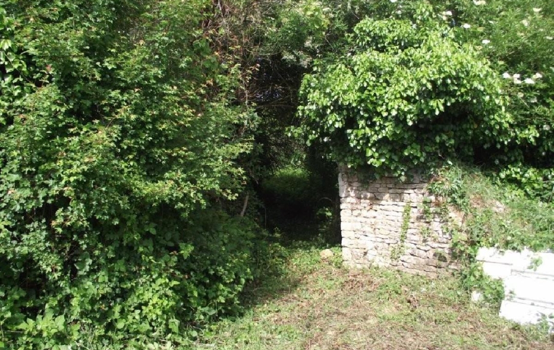 AGENCE TIC RUFFEC : Maison / Villa | AUNAC (16460) | 0 m2 | 14 000 &euro; 