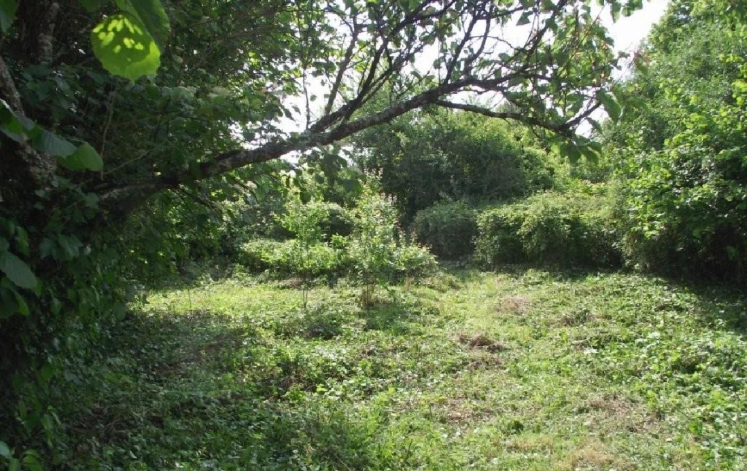 AGENCE TIC RUFFEC : Maison / Villa | AUNAC (16460) | 0 m2 | 14 000 &euro; 