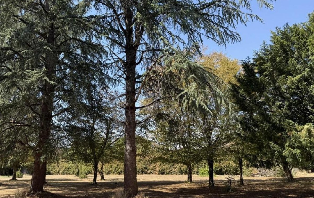 AGENCE TIC RUFFEC : Maison / Villa | VERTEUIL-SUR-CHARENTE (16510) | 170 m2 | 210 000 &euro; 