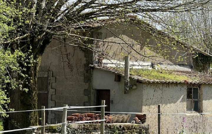  AGENCE TIC RUFFEC Maison / Villa | CHAMPAGNE-MOUTON (16350) | 0 m2 | 15 000 € 